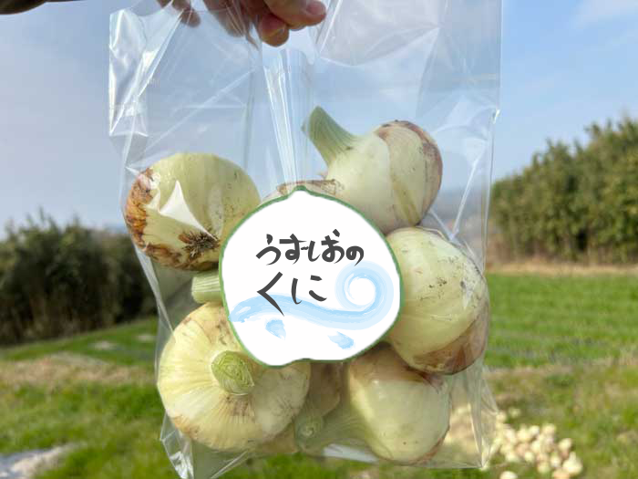 淡路島玉ねぎ