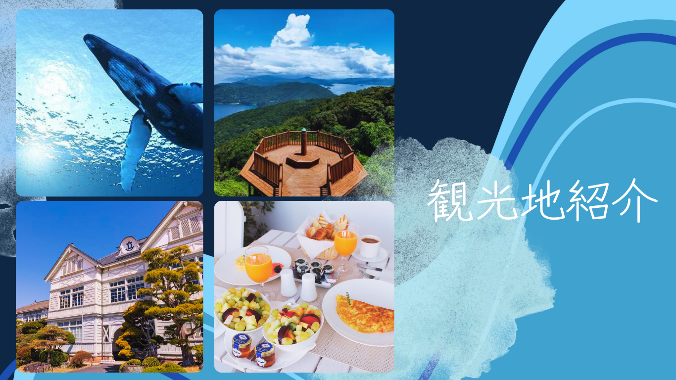 観光地紹介