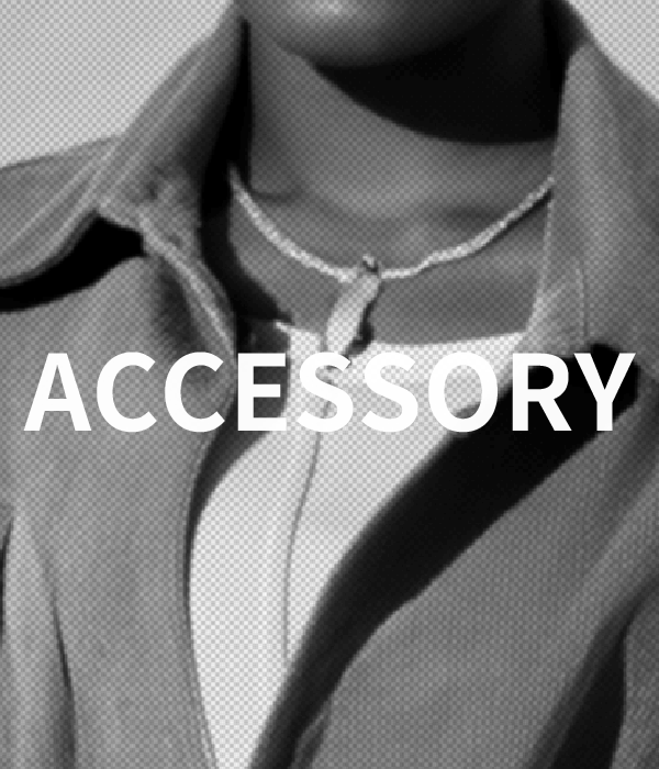 ACCESSORY